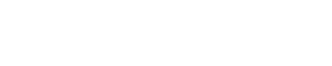 TAMAX ロゴ